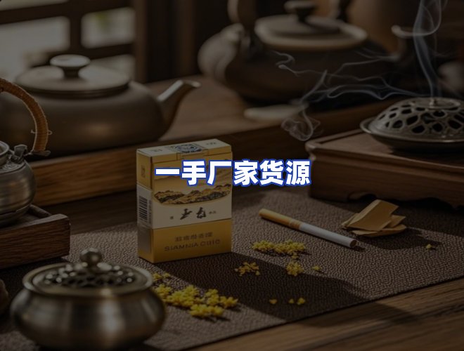 专业团队